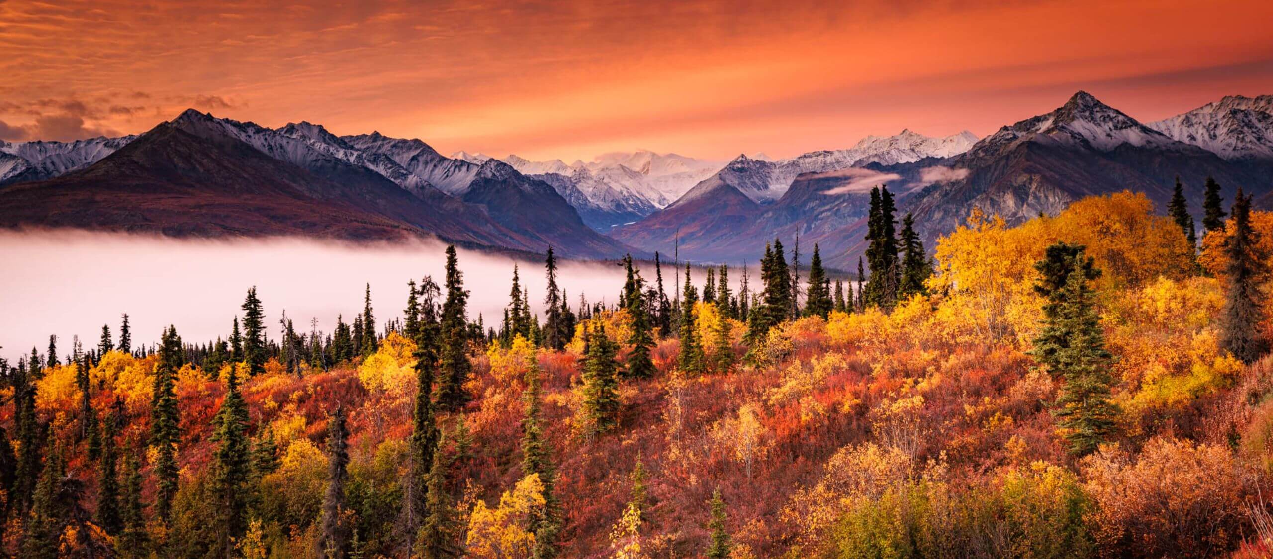 Professional services work for Anchorage clients